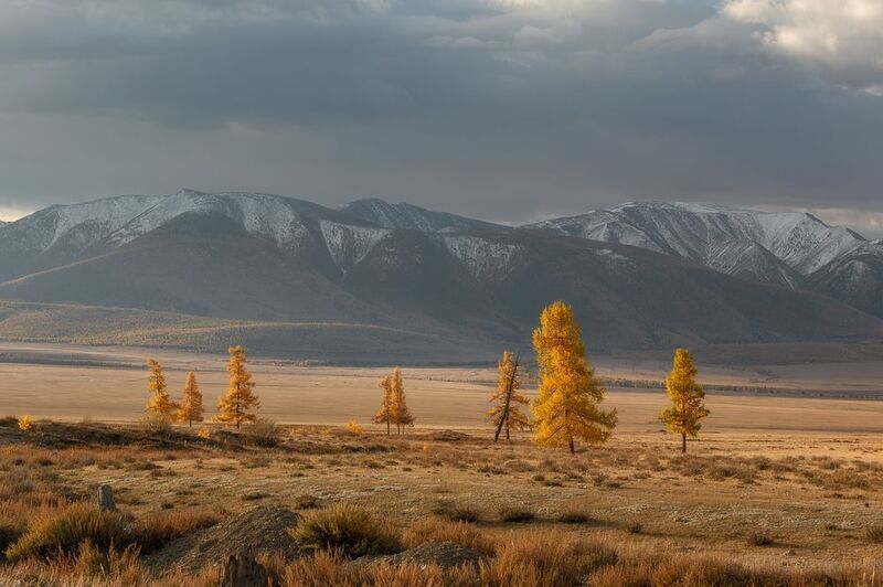 Алтайская классика фото превью