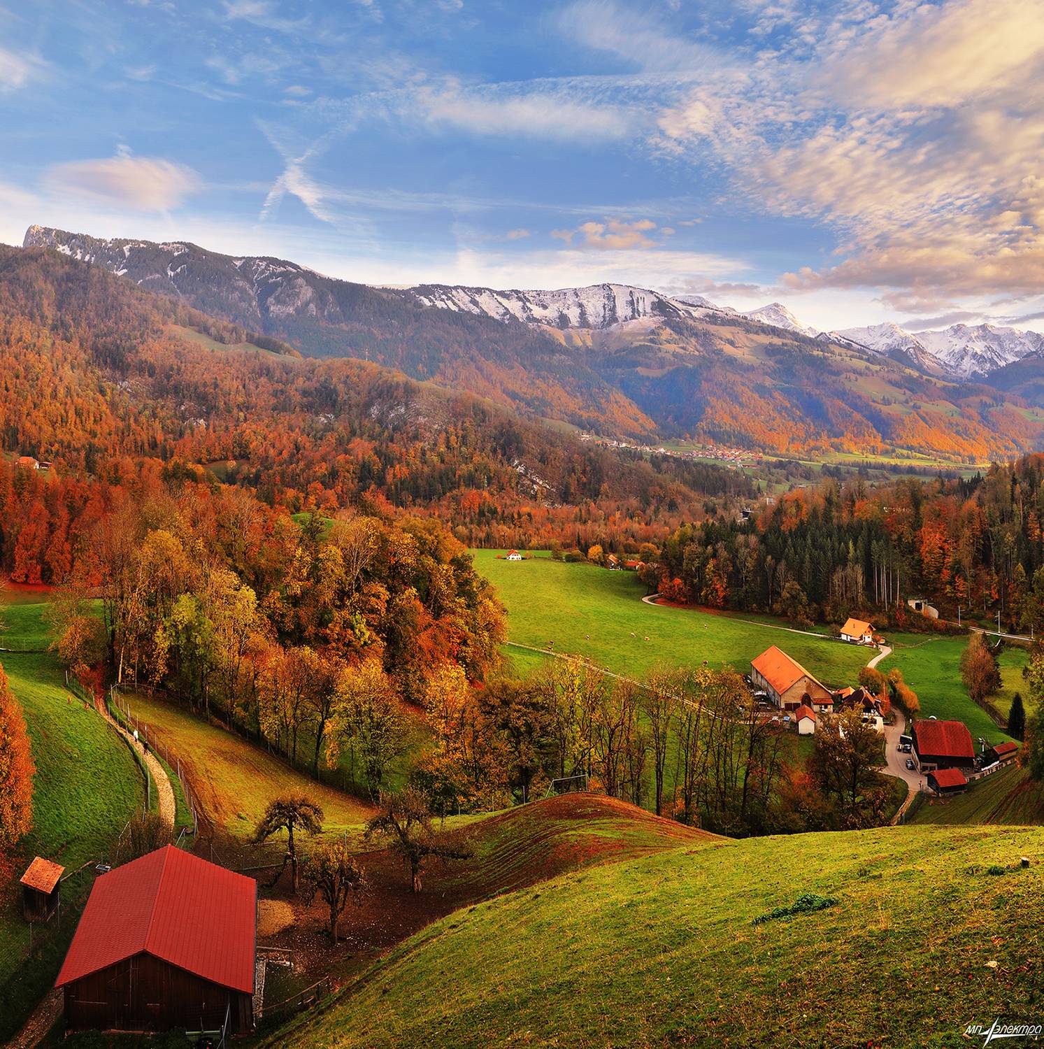 swiss, Матвеев Николай