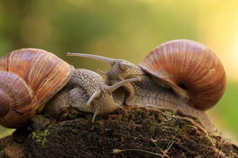 Поцелуй меня фото превью