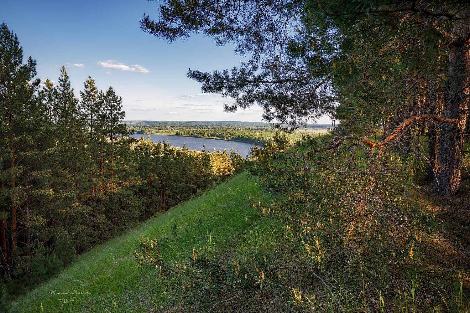 , Никитин Алексей