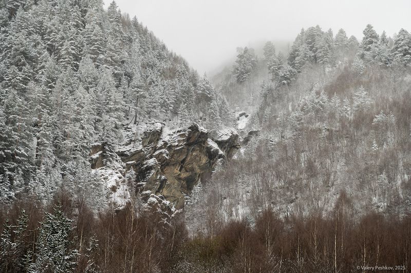 приэльбрусье, баксан, сосны, экотропа, склоны, снег, иней, апрель, кабардино-балкария Серебрянные этюды (2) фото превью