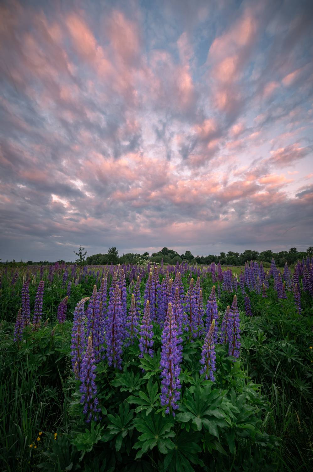 , Перевозчиков Андрей