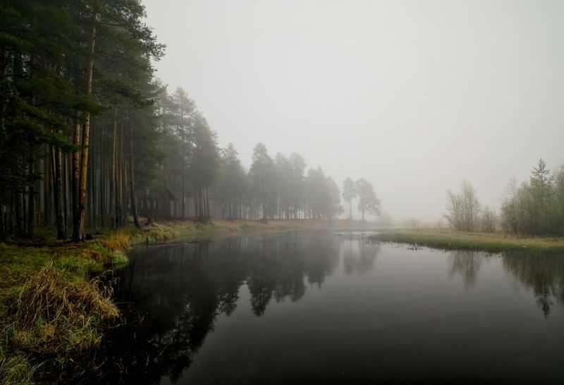 Утро туманное фото превью