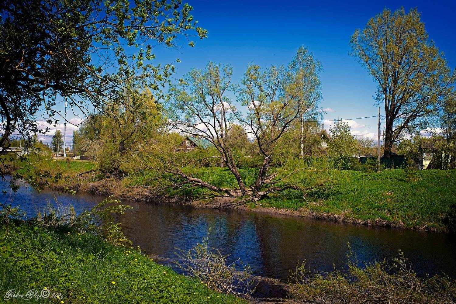 , Орлов Олег