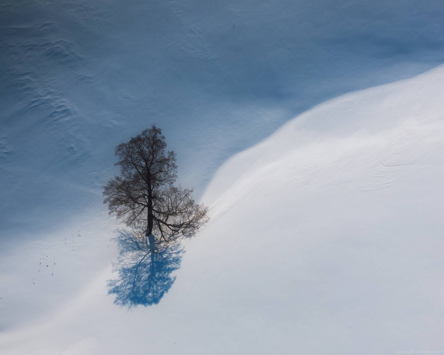 , Даниил Коржонов