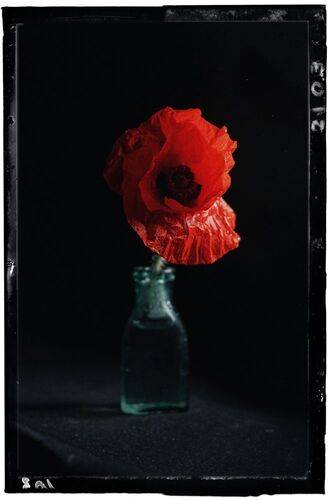 Дарованный мне дремлющим Морфеем.