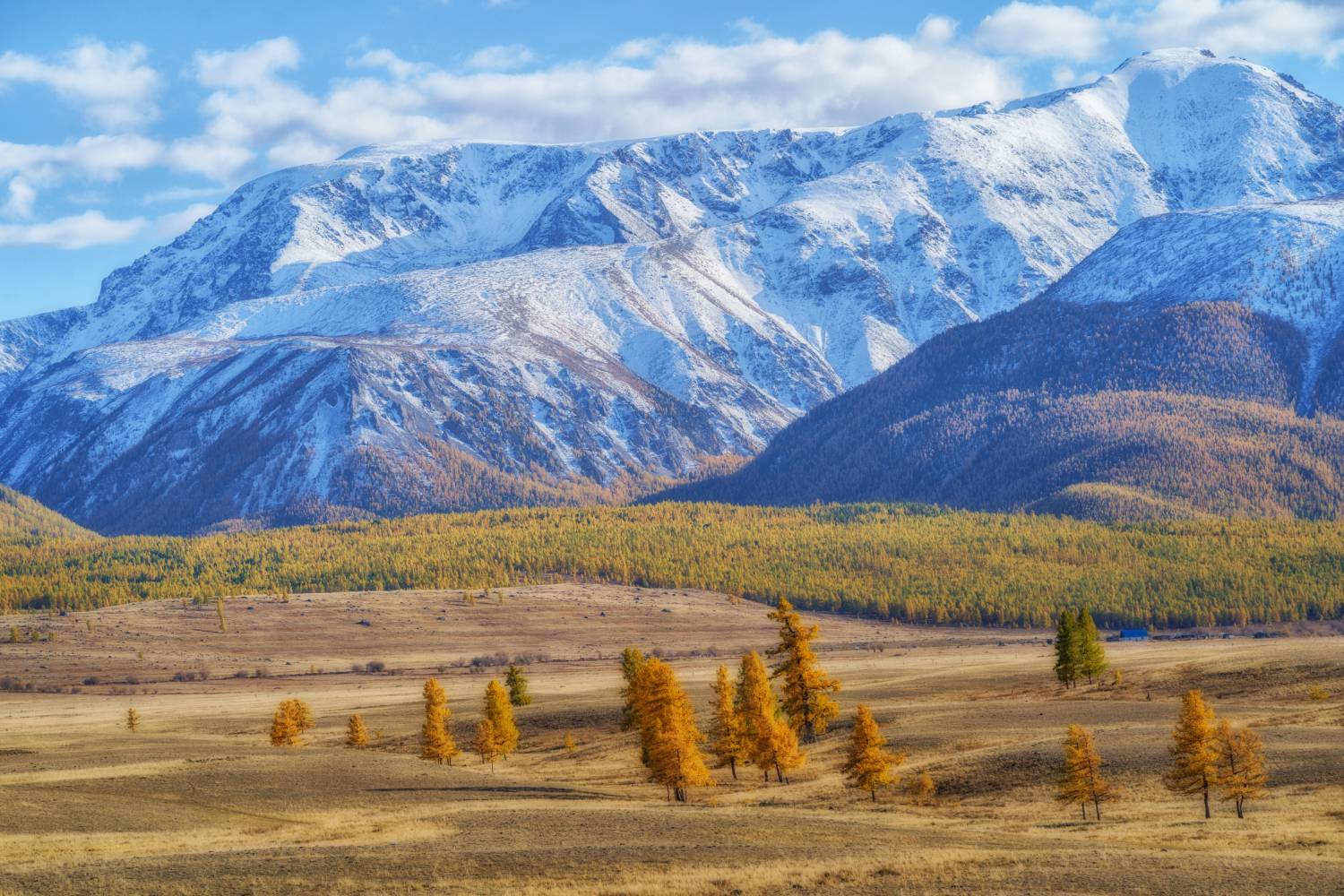 Россия, Алтай,пейзаж, Лариса Дука