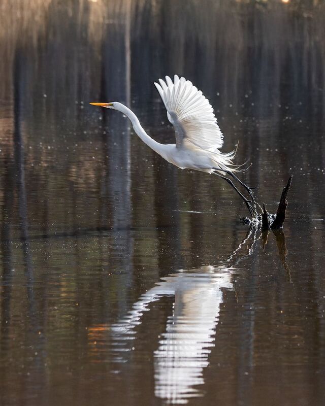 Стремление в высь фото превью