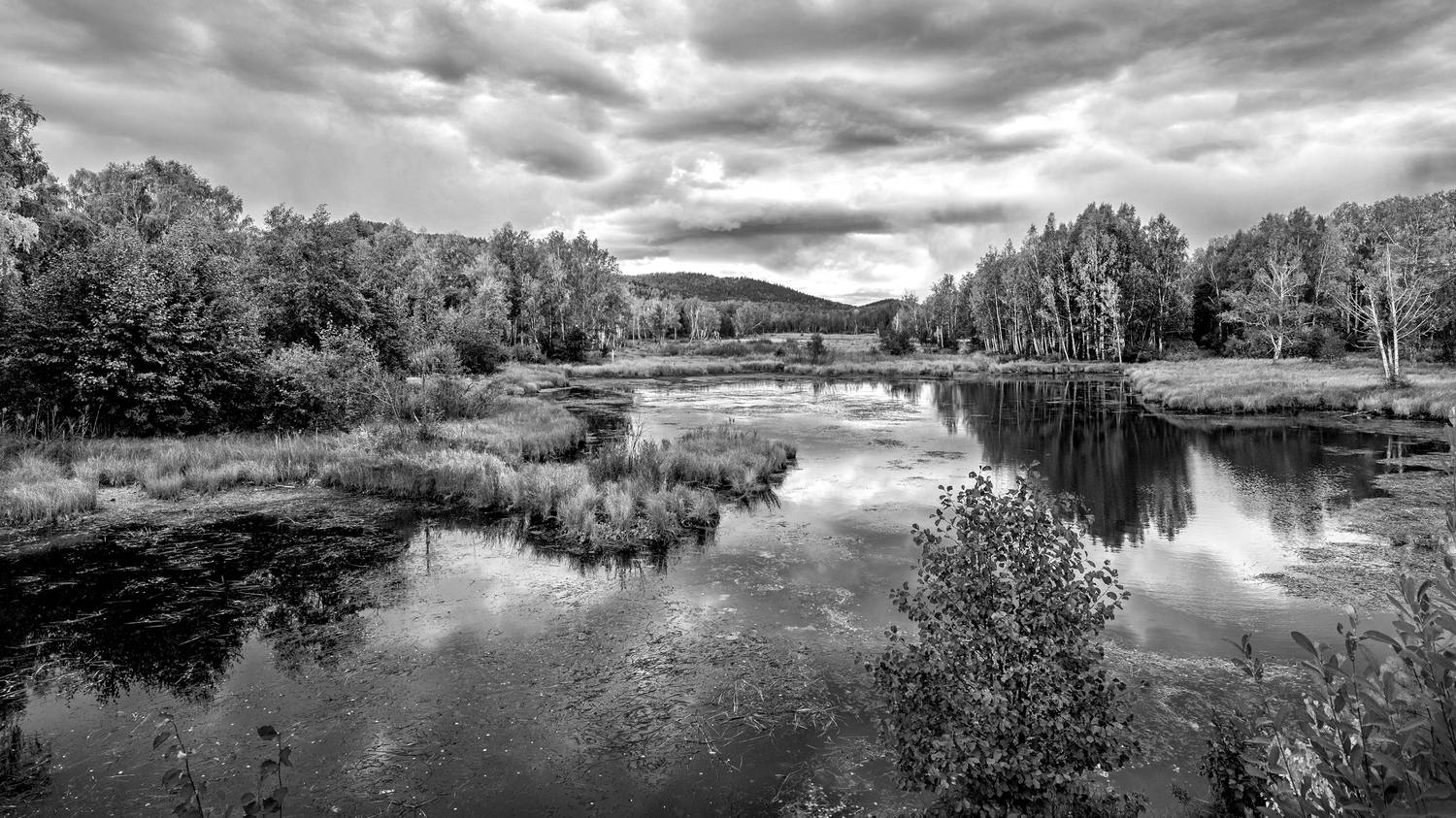 , Ушаков Валерий