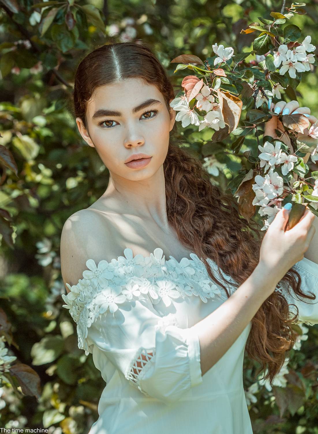 , Михаил Бове