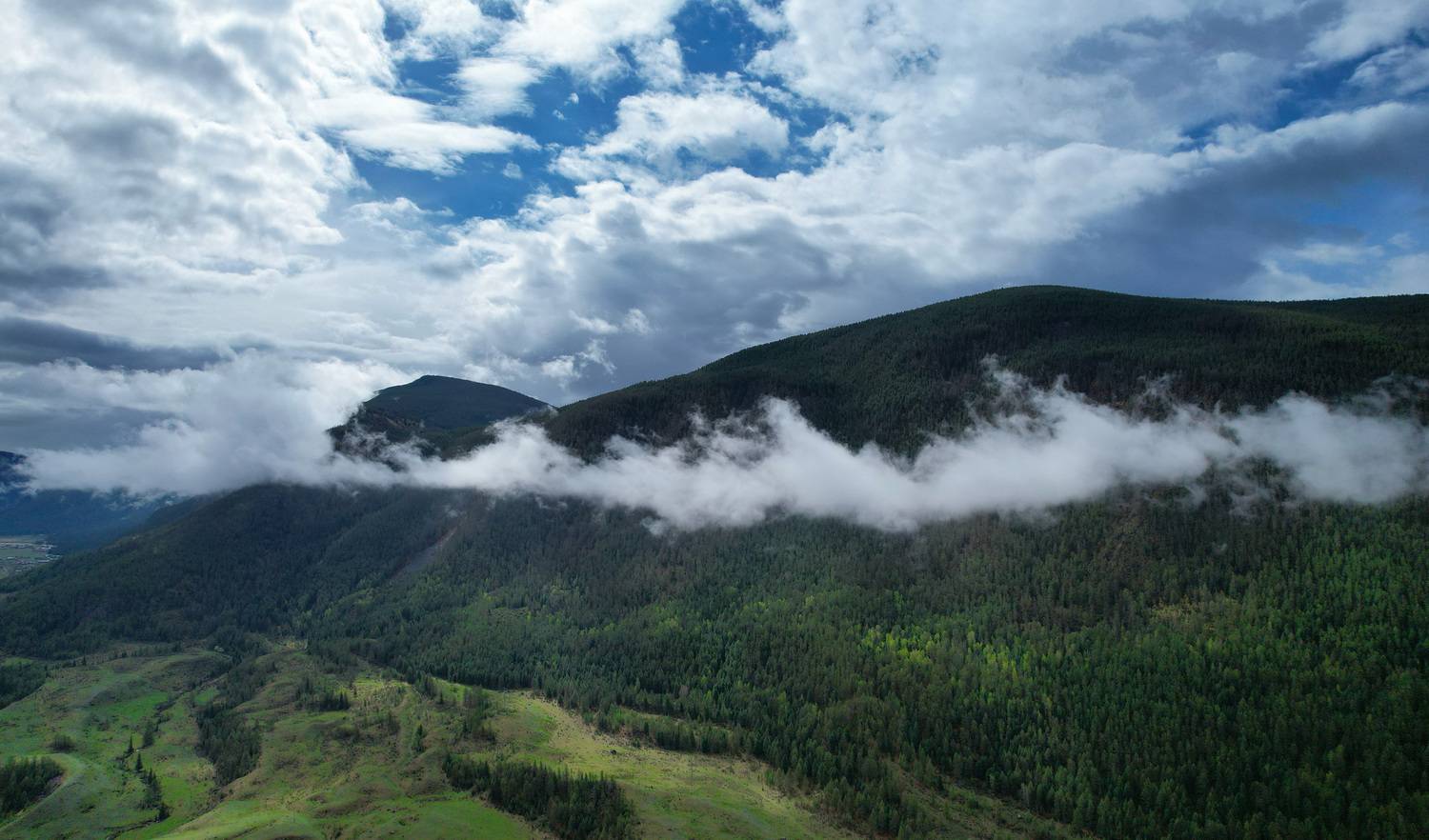 , Константин Буркин