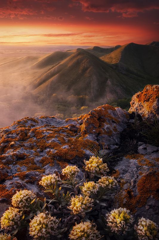 фототур, долгиегоры, долгие горы, карамурунтау, урал, южныйурал, южный урал, рассвет, весна, пейзаж, природа, андреевскиешишки, андреевские шишки Южные сны фото превью