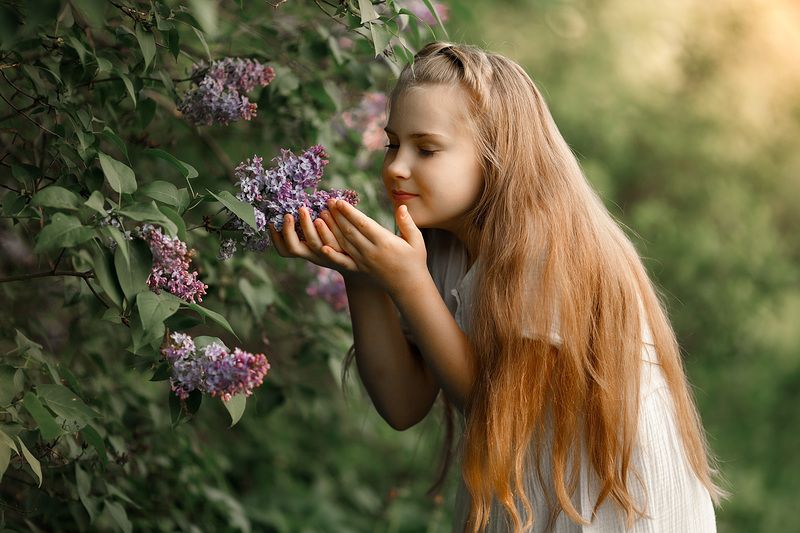 Очаровательный запах сирени фото превью