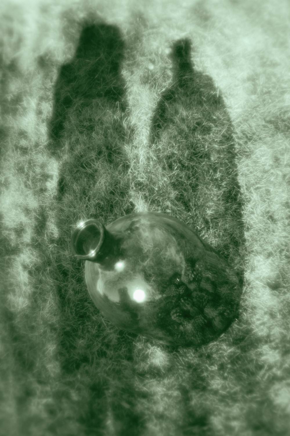 , Таня Смолевская