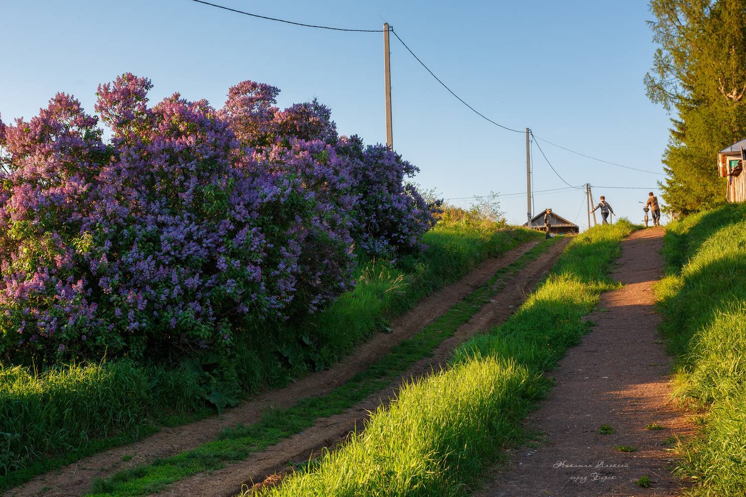 , Никитин Алексей