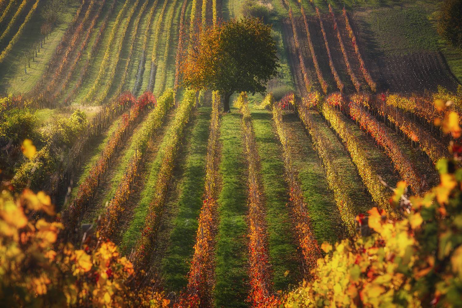 , Василий Яковлев