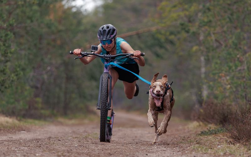 Белые ночи 2025 фото превью