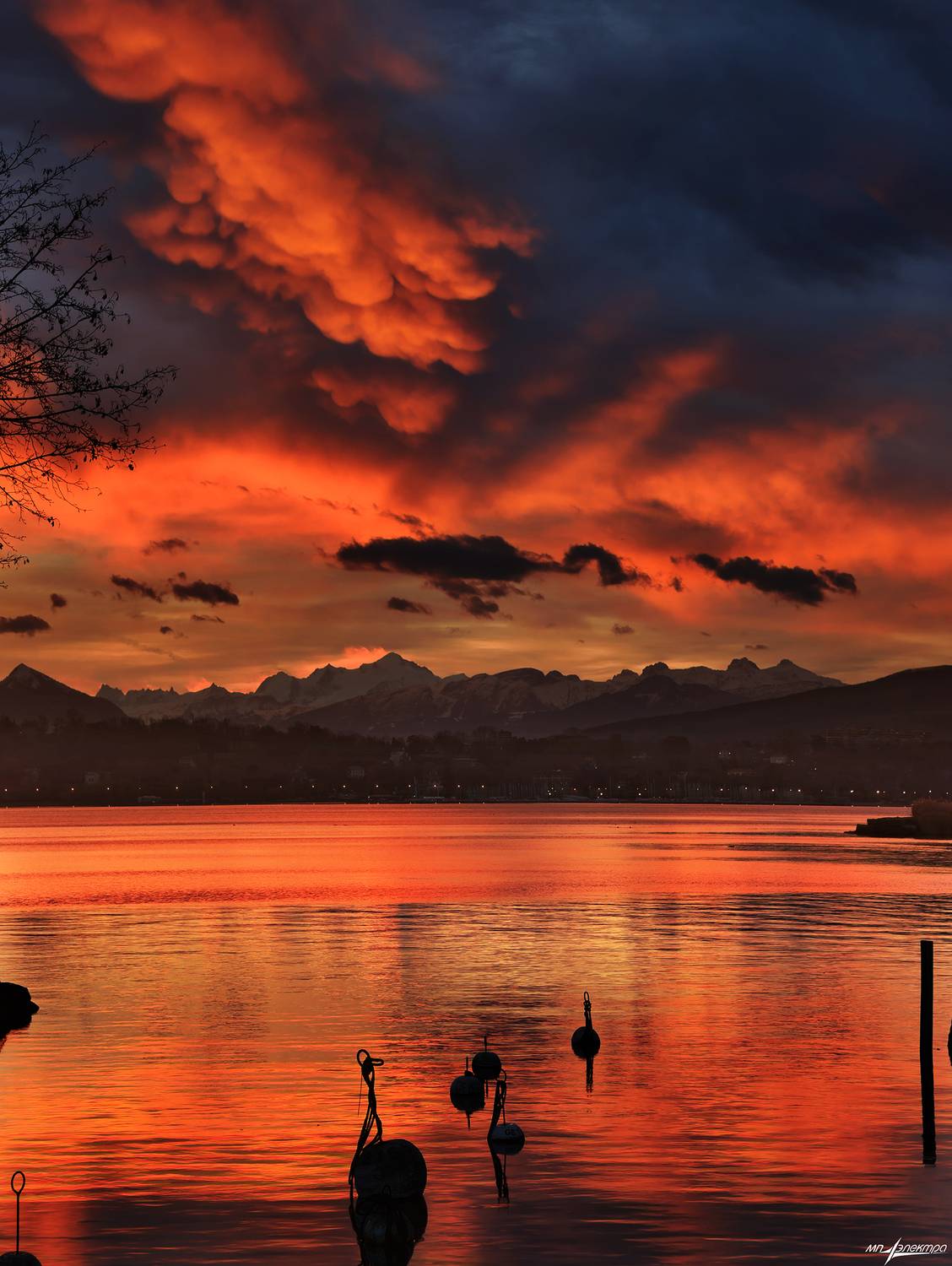 swiss, Матвеев Николай