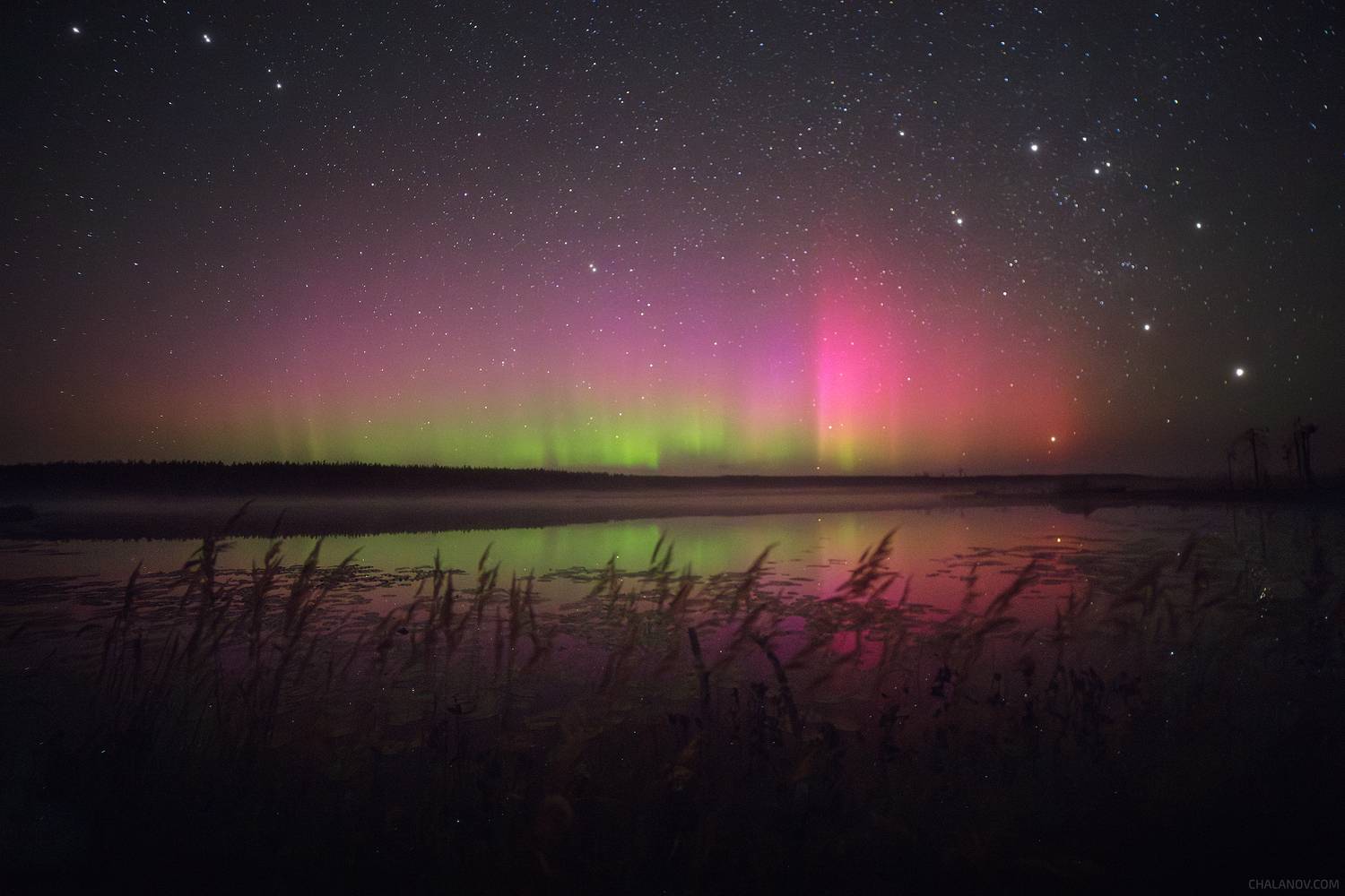 северное сияние, озеро, болото, ночь, звезды, ночной пейзаж, аврора бореалис, Иван Чаланов
