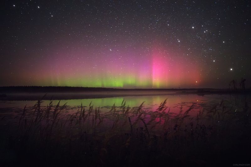 северное сияние, озеро, болото, ночь, звезды, ночной пейзаж, аврора бореалис Далёкий свет Авроры фото превью