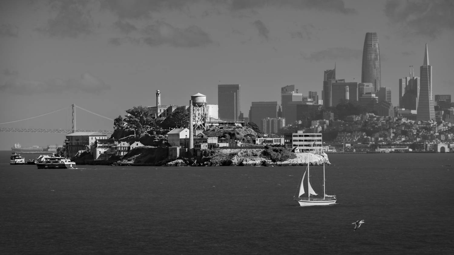 island, city, cityscape, Alcatraz, San Francisco, bay, tourism, travel destination, california, yacht, sailing boat, sea, view, Andrey Shpek