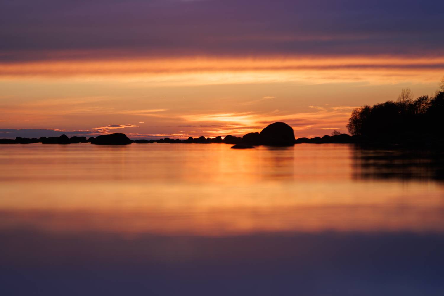 , Светлана Холодняк