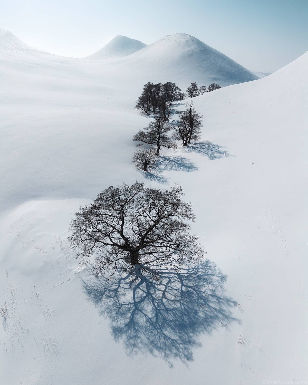 , Даниил Коржонов