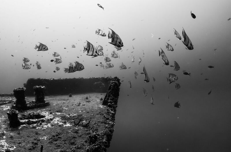 wreck фото превью