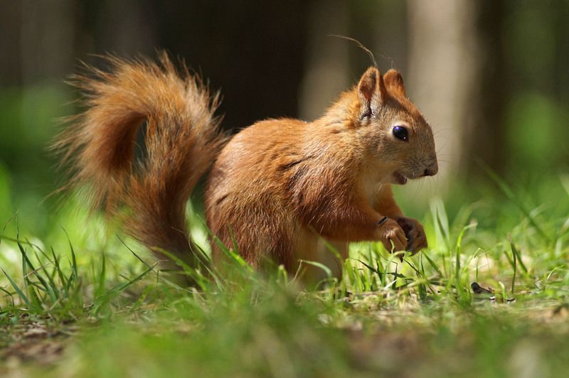 Секунда до старта фото превью