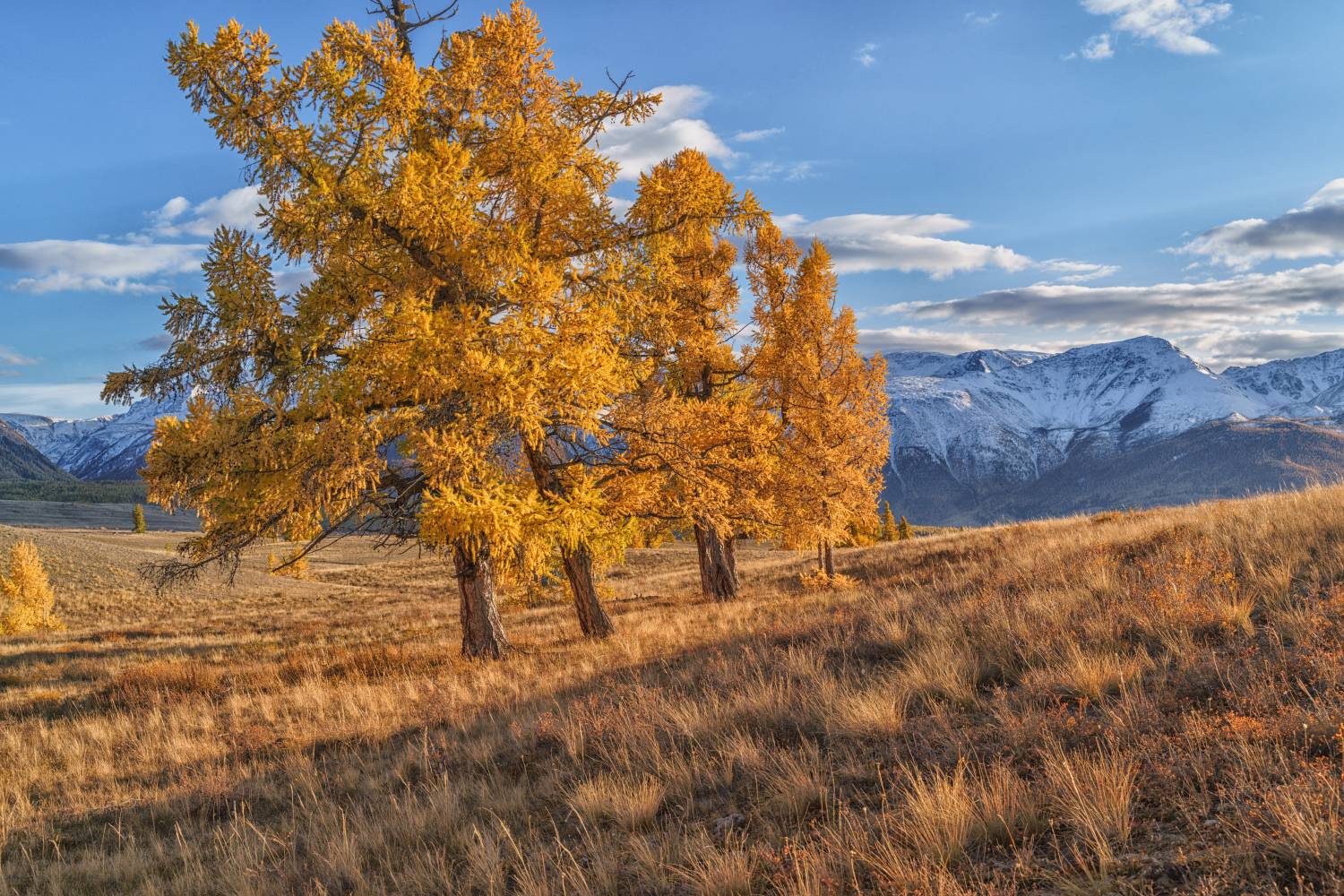 Россия, Алтай, пейзаж, природа, осень,горы, Лариса Дука