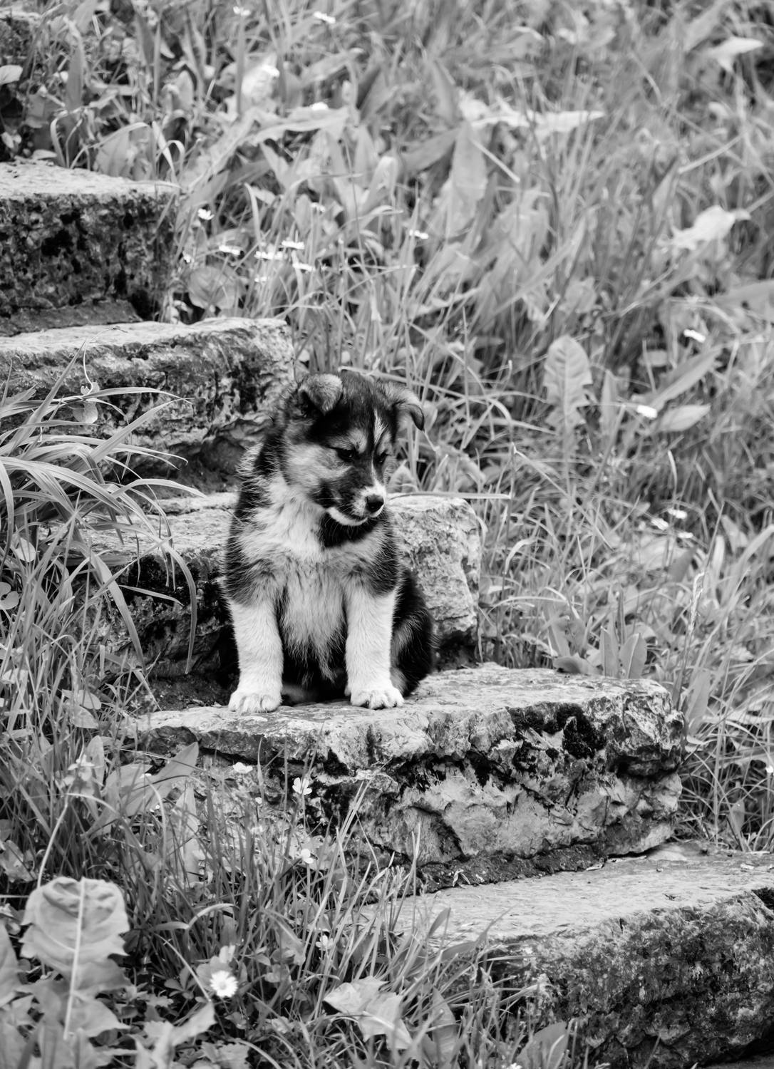 , Александр Шилов