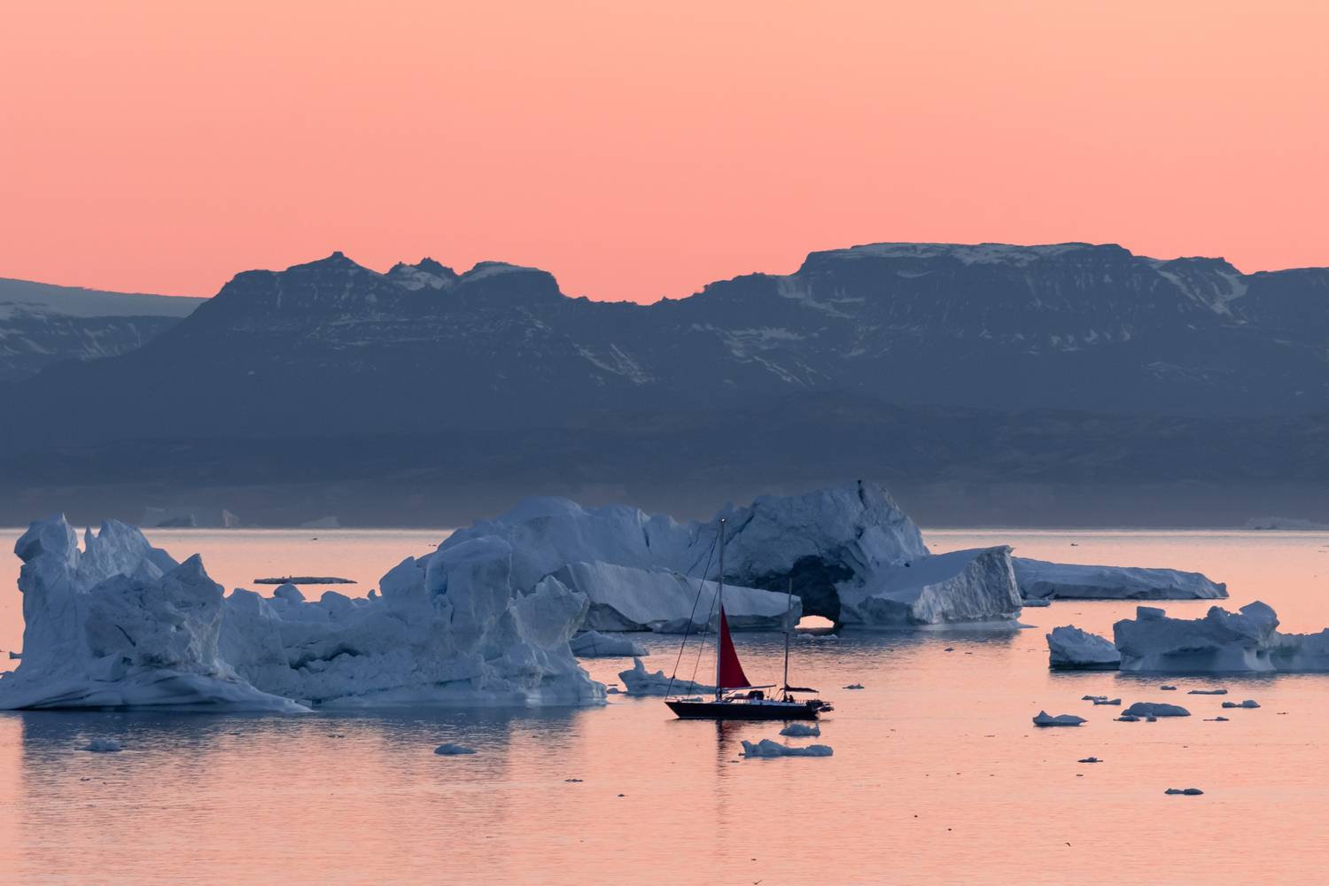 , Евгения Чех