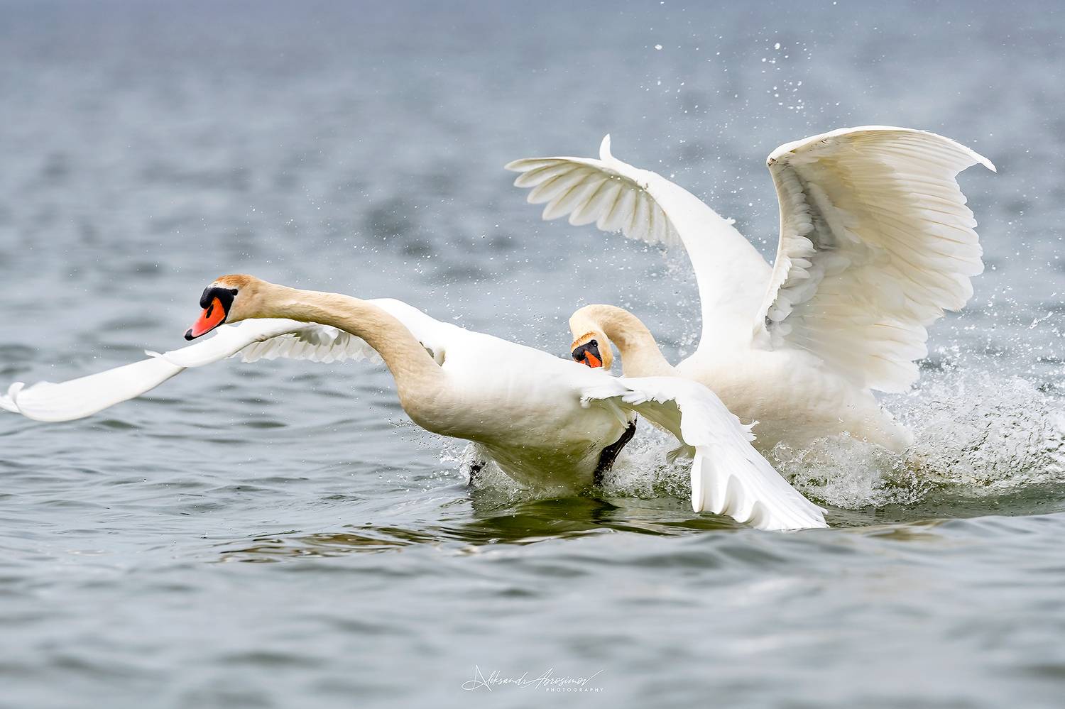 , Абросимов Александр