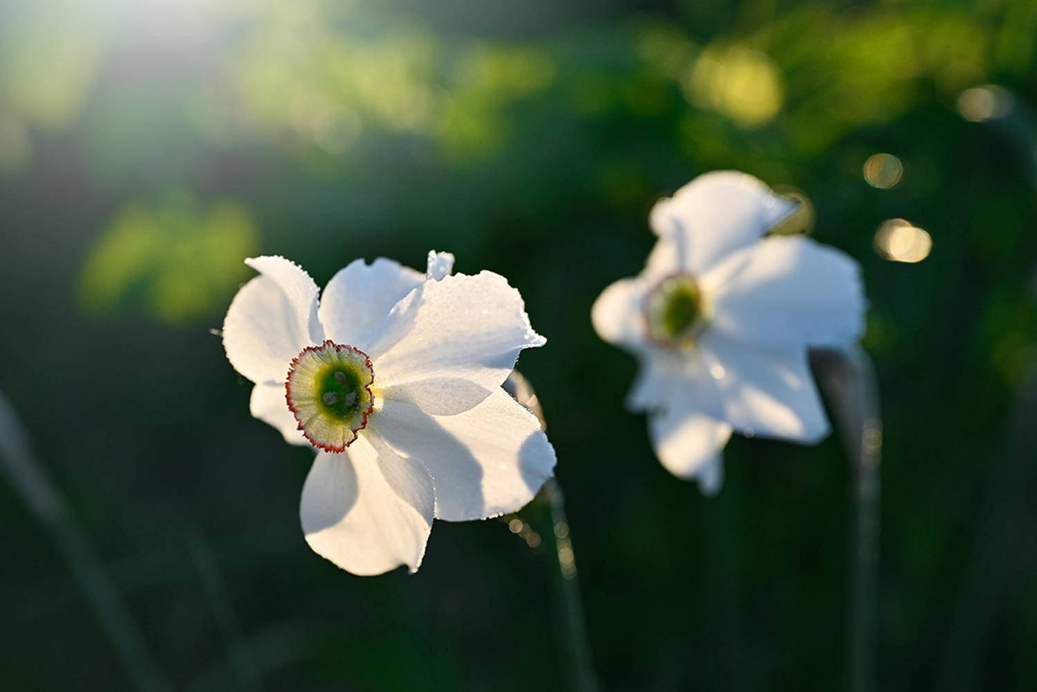 , Калёв Сергей