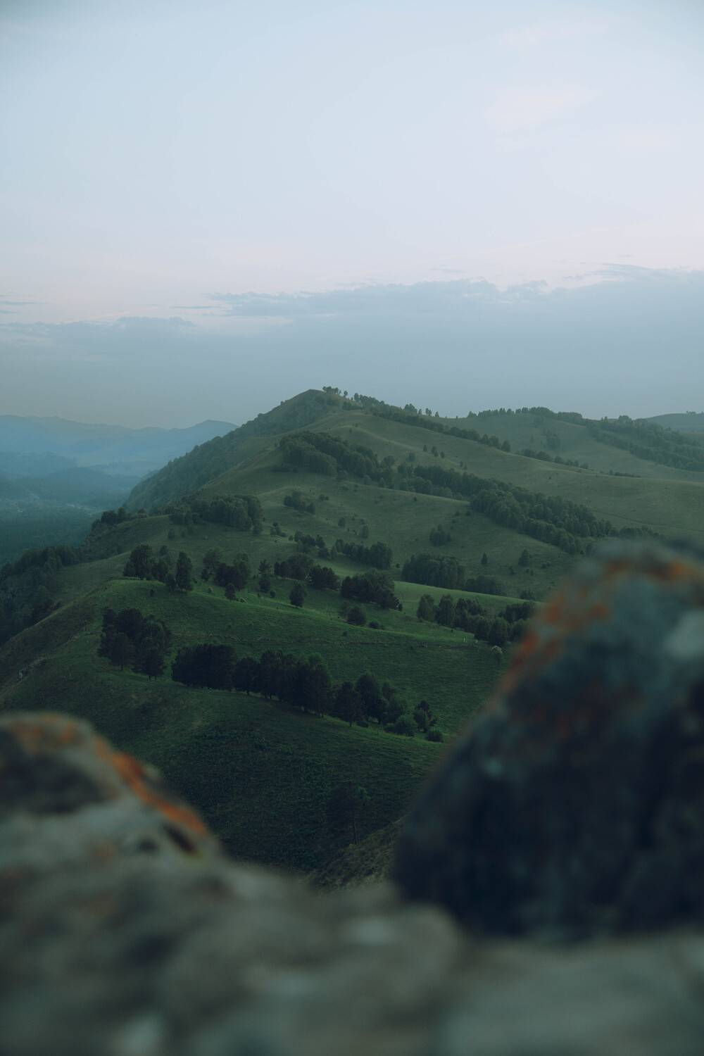 горы, Алтай, холмы, лес, Denis Koshkin