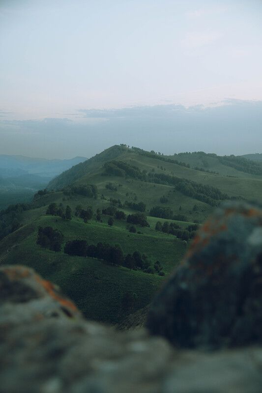 горы, Алтай, холмы, лес Горный Алтай фото превью