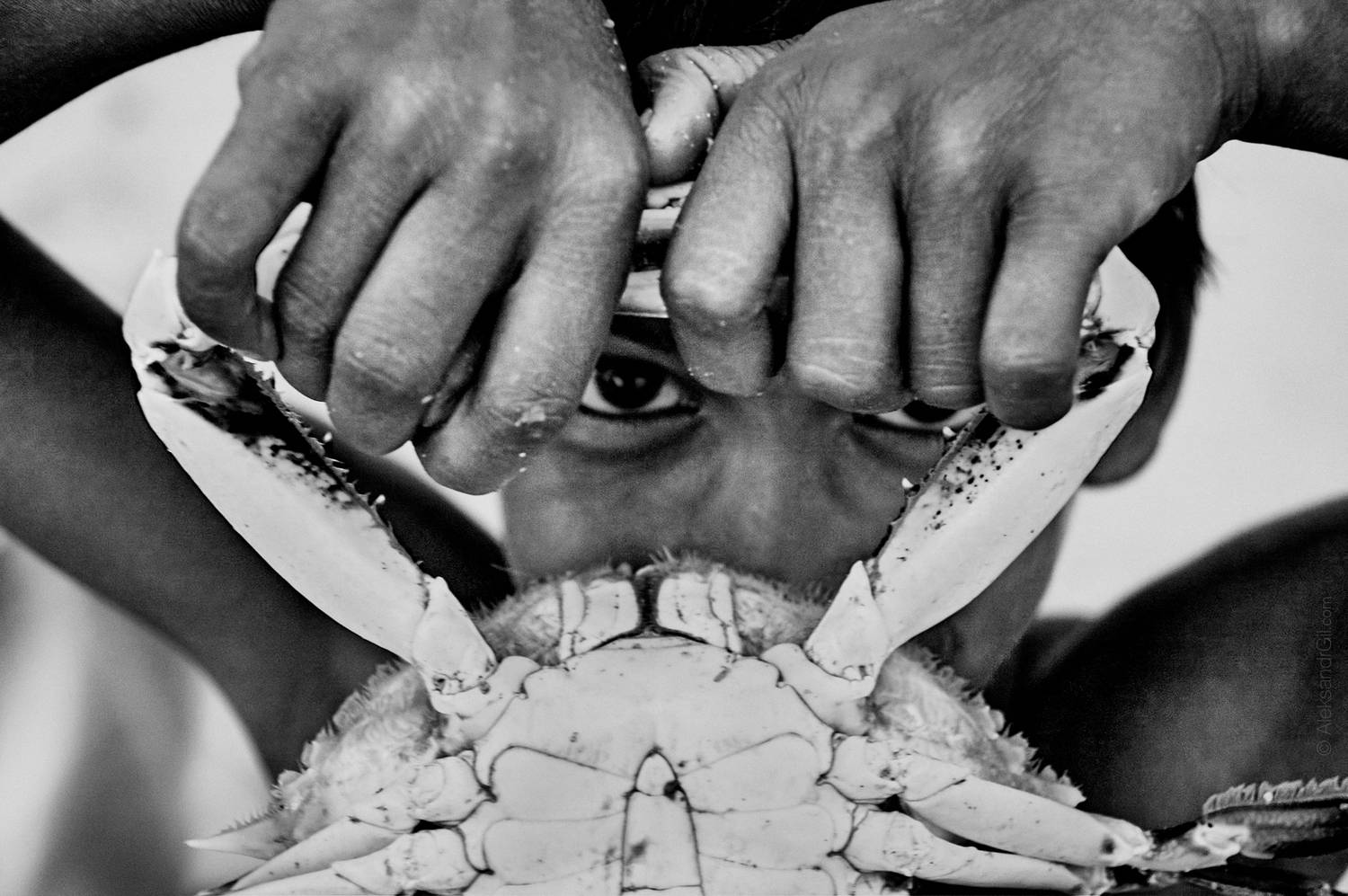 , Гиль Александр