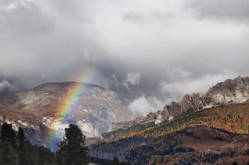 После Дождя фото превью