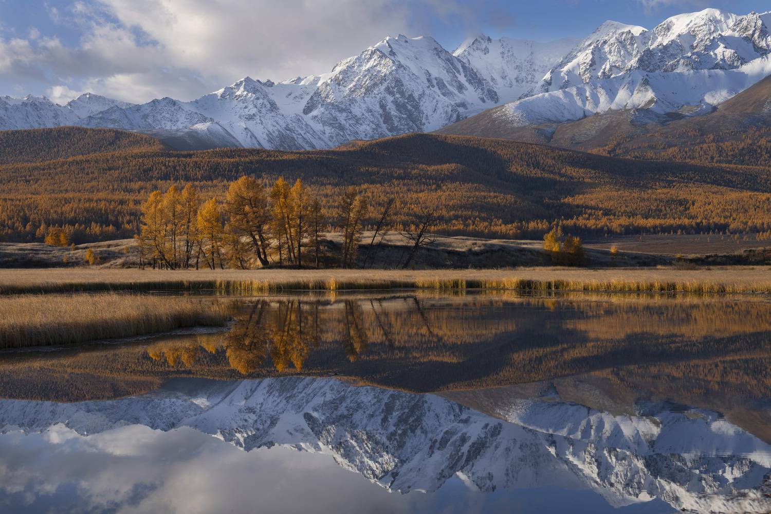 отражение, джангысколь, алтай, озеро, Дейнекина Галина