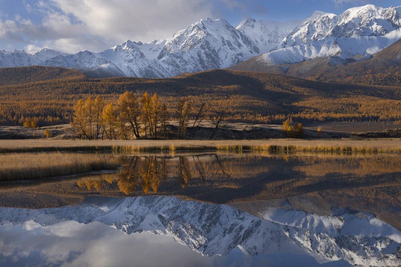 отражение, джангысколь, алтай, озеро Отражения озера Джангысколь фото превью