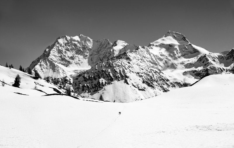 Если друг оказался вдруг... фото превью