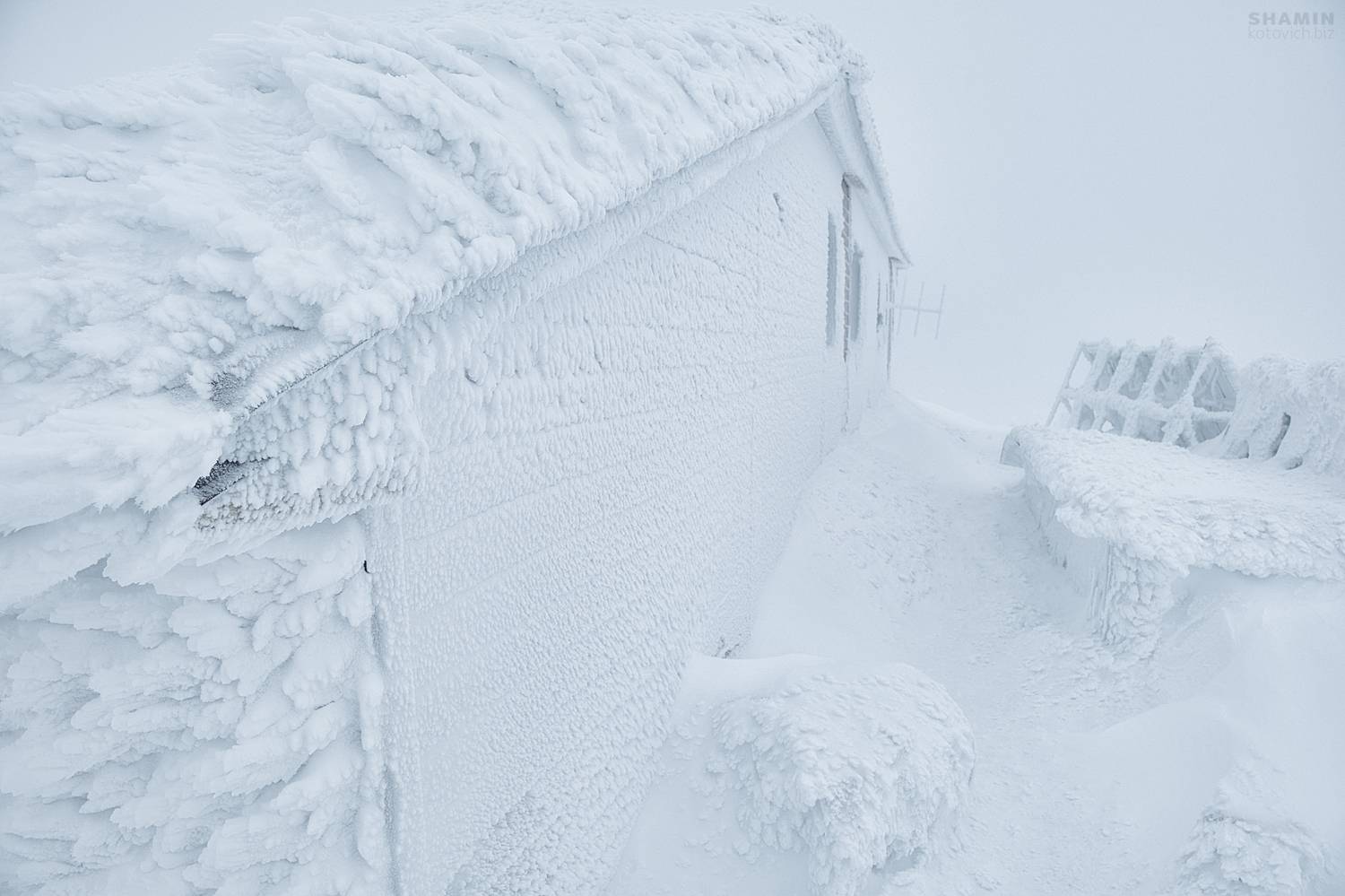 , Константин Шамин