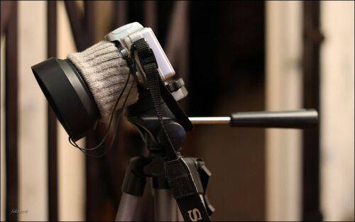 Старый друг