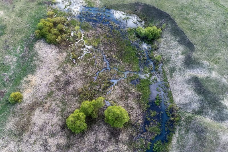 Весна фото превью