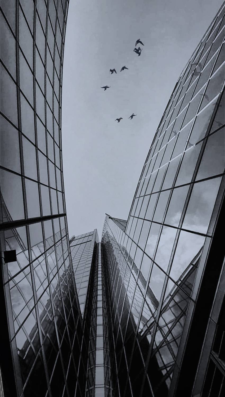 , Мариана Добрева