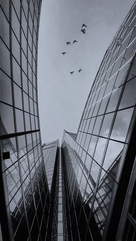 city ​​well фото превью