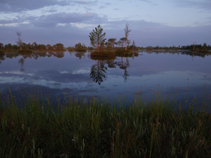 Ранішняя вядзьмарка  фото превью