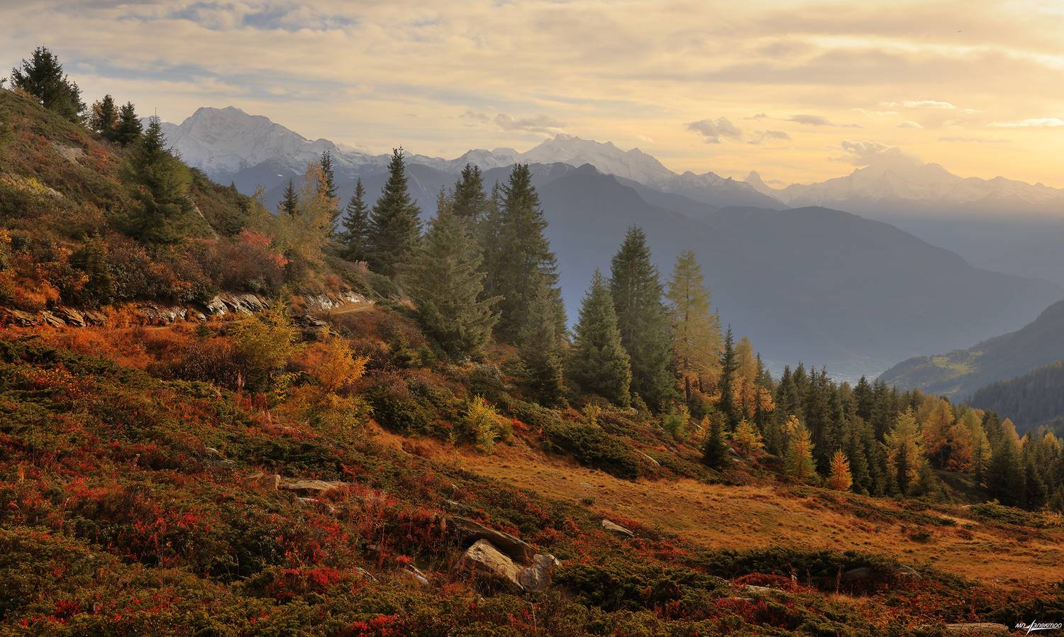 swiss, Матвеев Николай