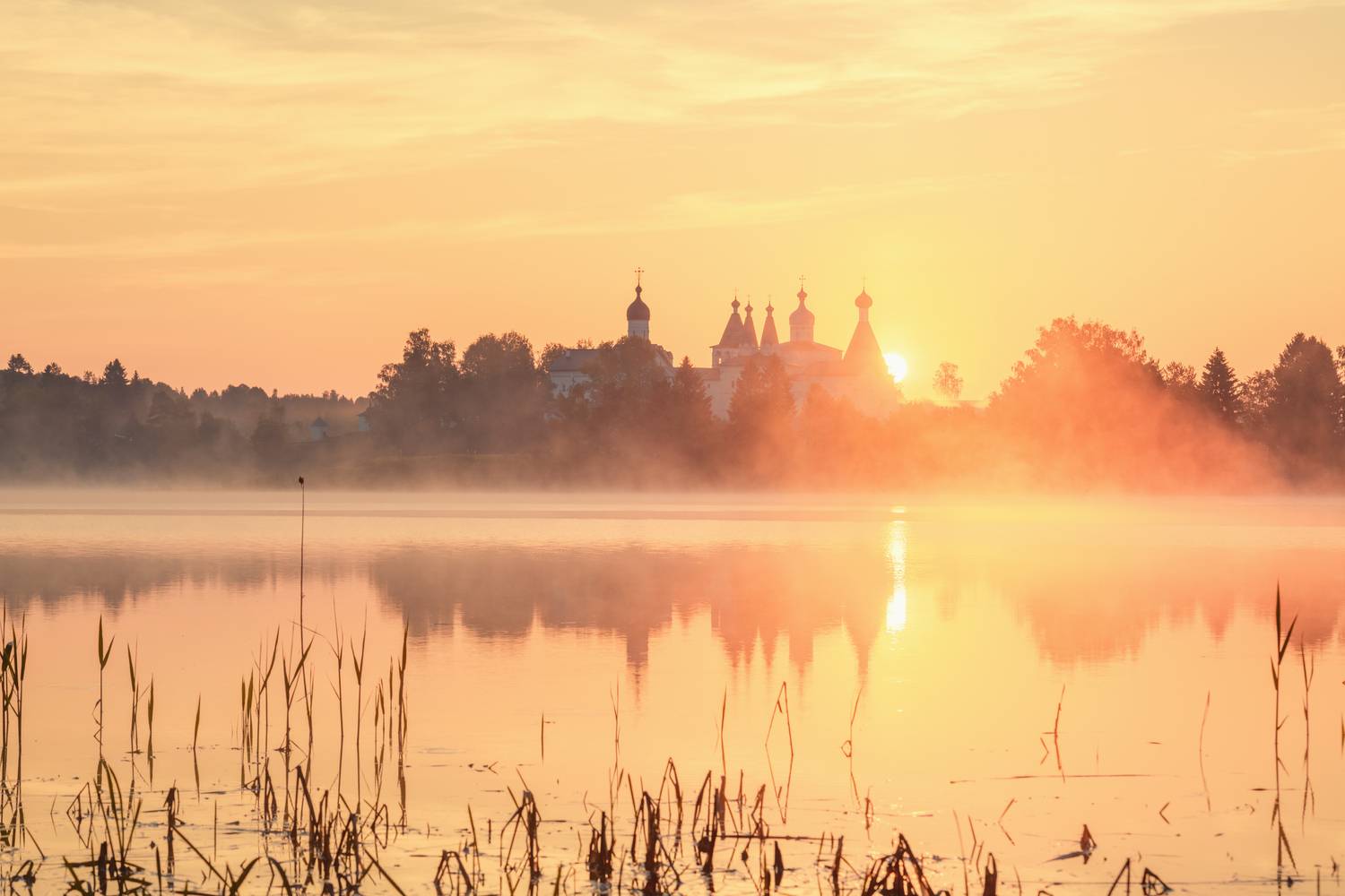 , Евдокимов Максим