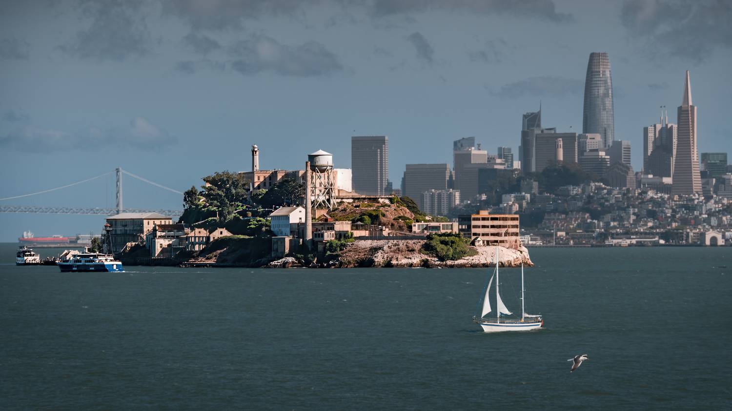 island, city, cityscape, Alcatraz, San Francisco, bay, tourism, travel destination, california, yacht, sailing boat, sea, view, Andrey Shpek